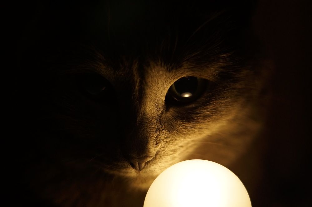 Photograph by Артем Севастьянов