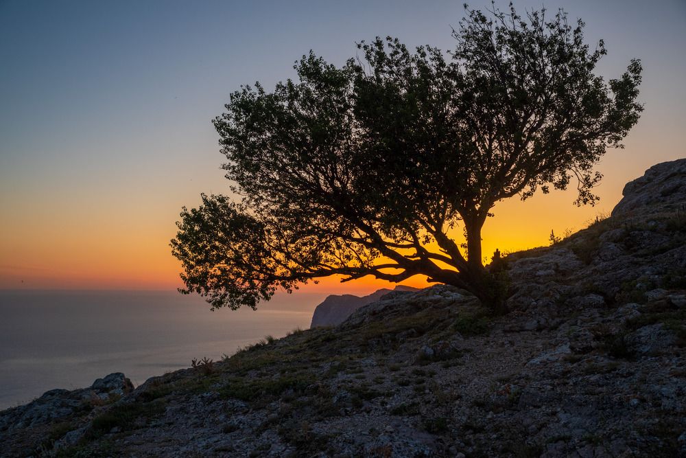 Photograph by Котенко Вадим