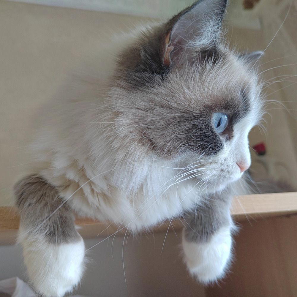 Photograph by Куделенко Оксана