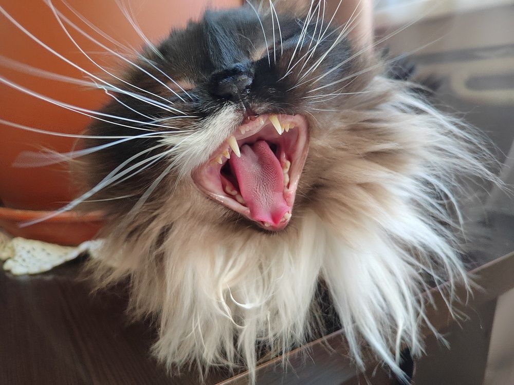 Photograph by Куделенко Оксана