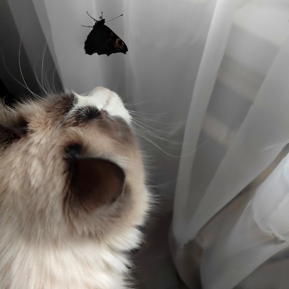 Photograph by Куделенко Оксана