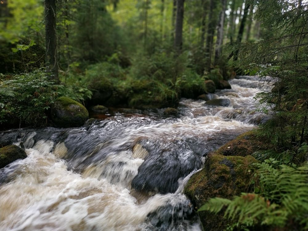 Photograph by Марина Брыдня