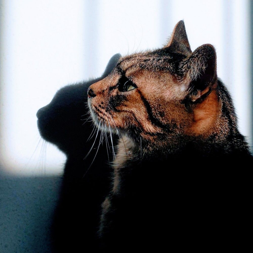 Photograph by Natalya Sedina