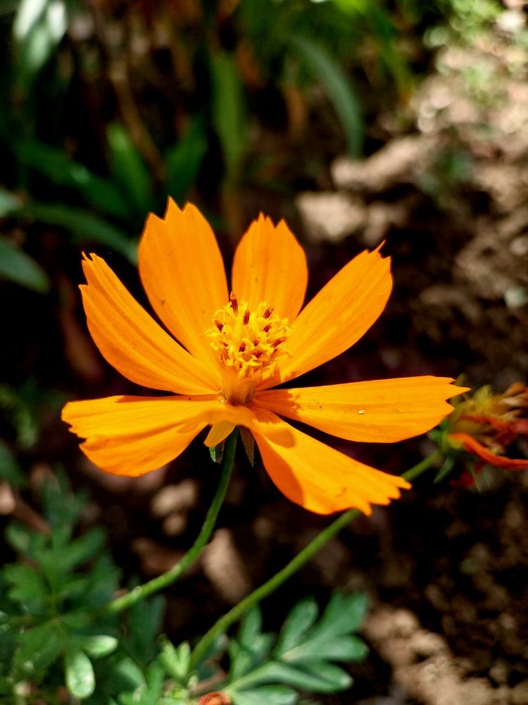 Photograph by Rahul Raman