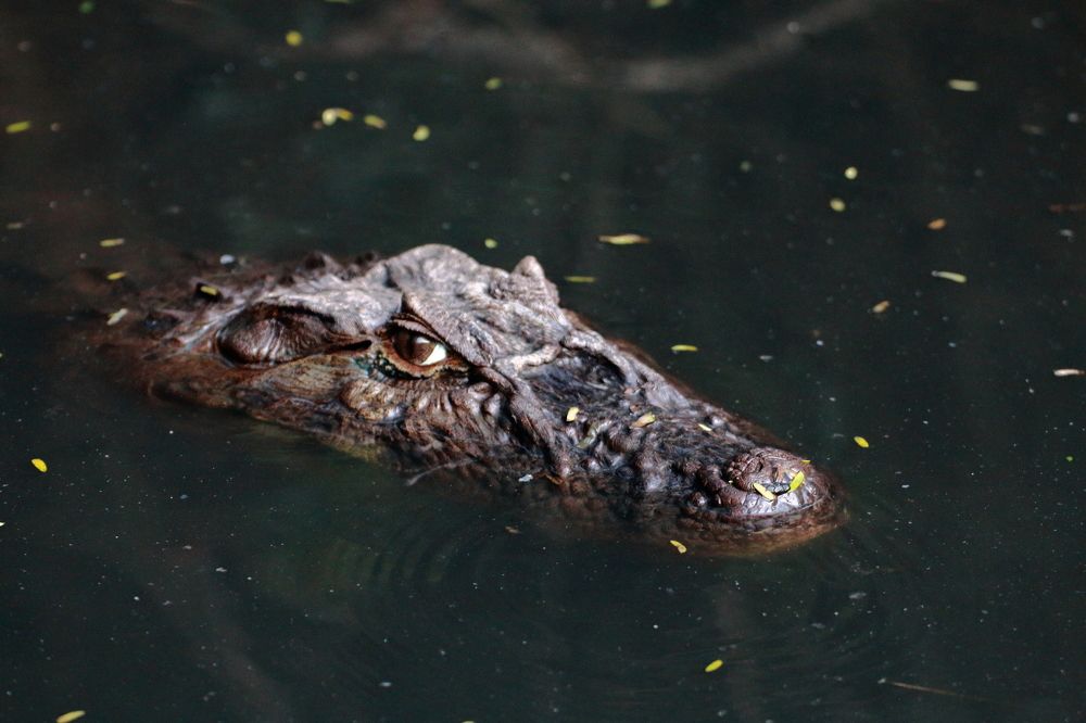 Photograph by Marie G