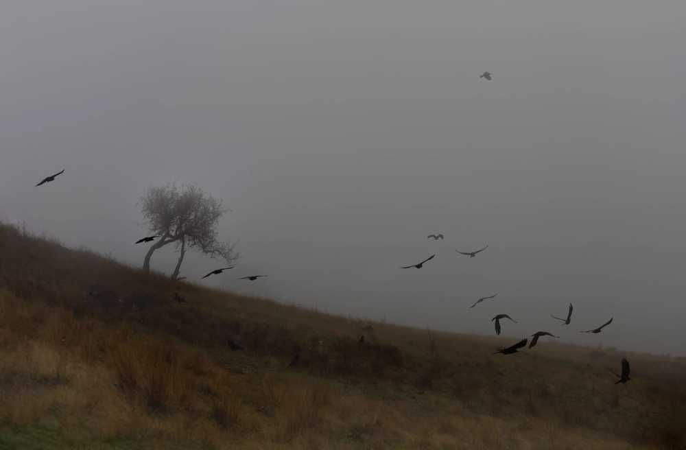 Photograph by Олег Крец