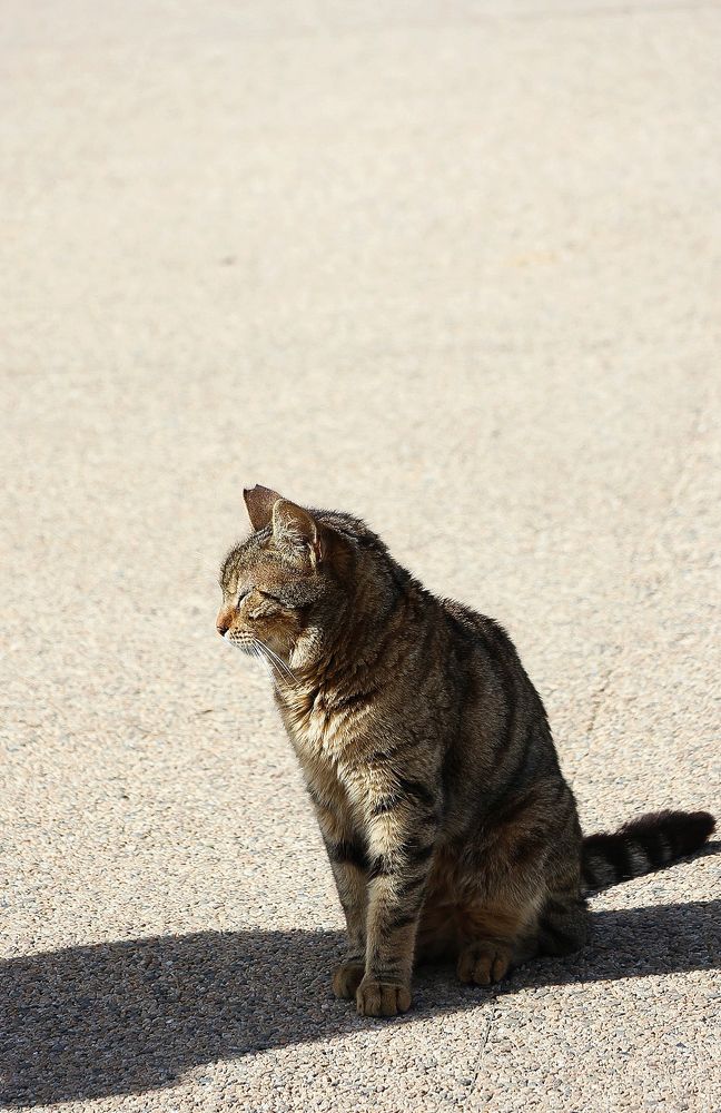 Photograph by Grădinaru Catalin