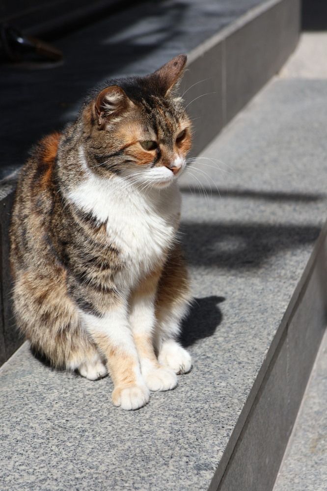 Photograph by Grădinaru Catalin