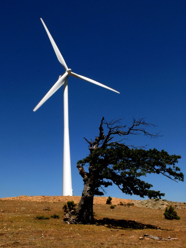 Photograph by MIHALIS KONSTANDINIDIS