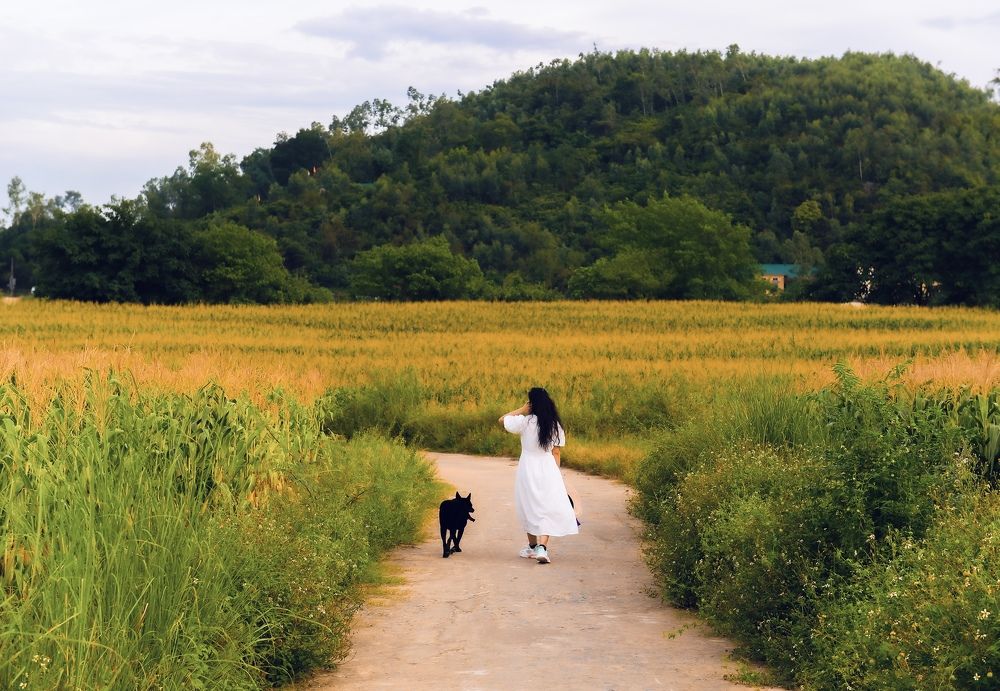 Photograph by Quoc khanh