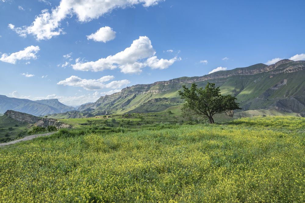 Photograph by Меркулова Наталья Геннадьевна