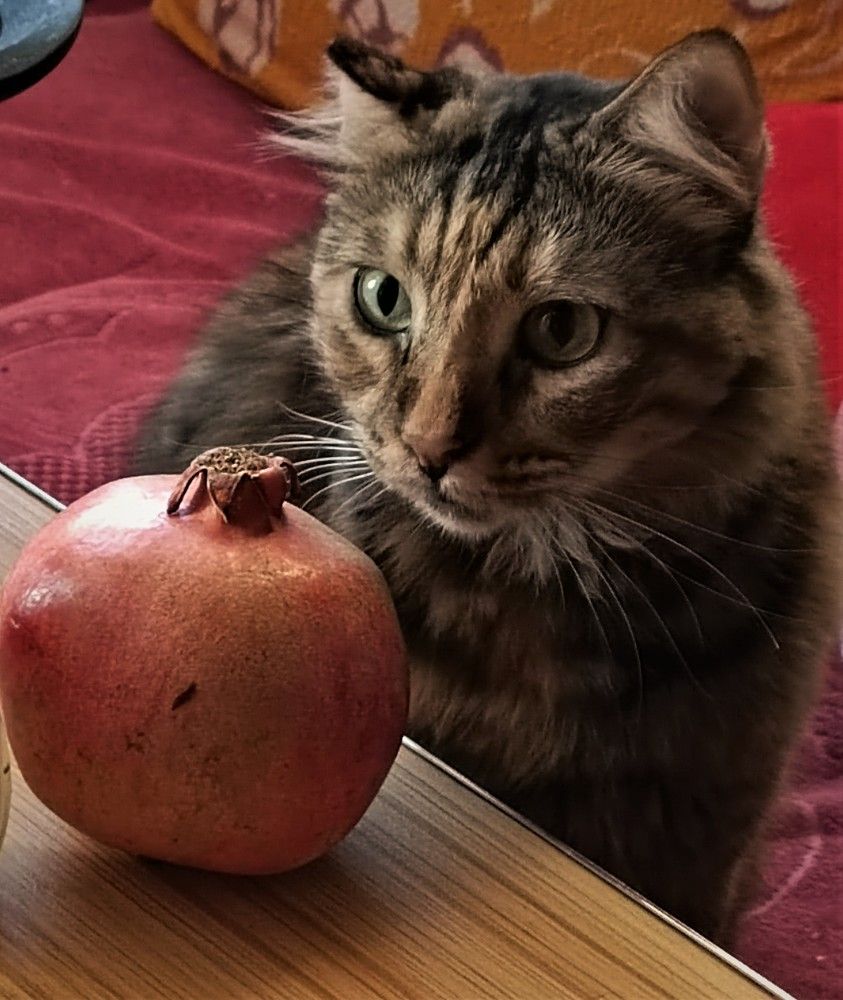 Photograph by Людмила Бутова