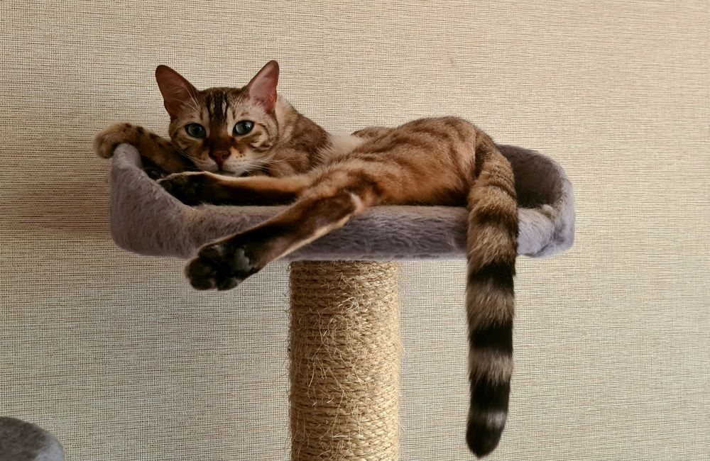 Photograph by Анна Семенова