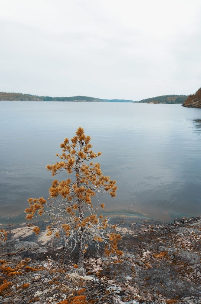 Photograph by Наталия Дударева