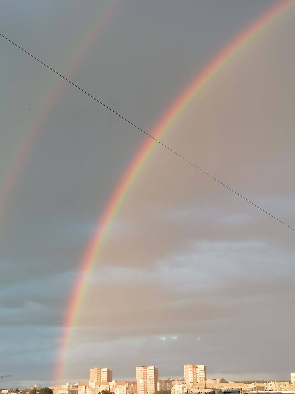 Photo #10753923