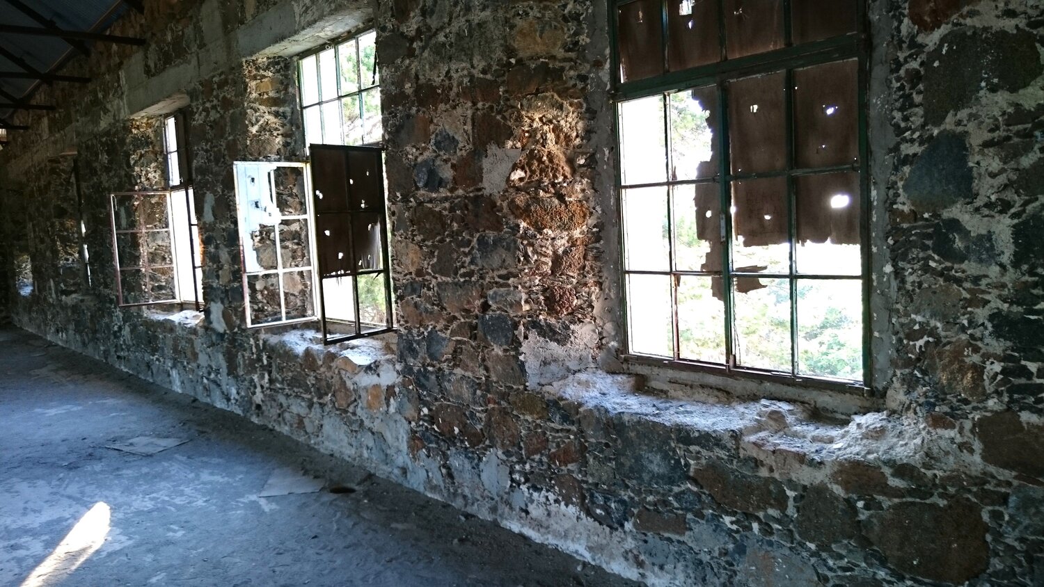 Photo #10753930