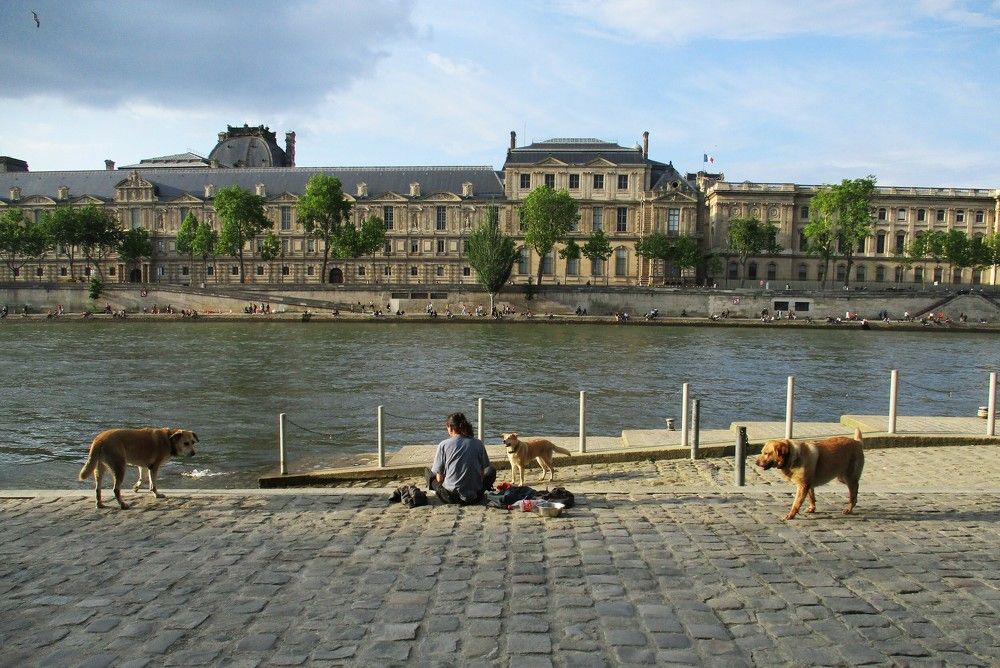 Photograph by Лариса Пирожникова