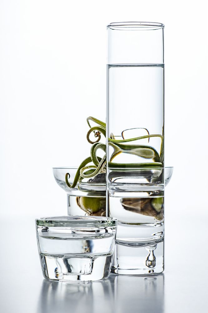 Photograph by Shannon Maltbie-Davis