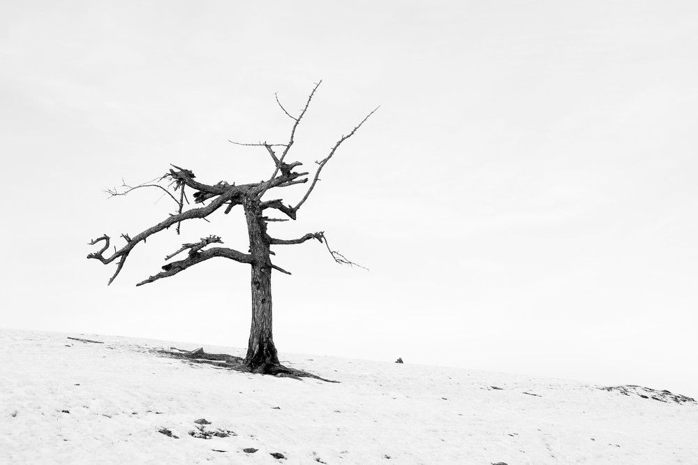 Photograph by Оксана Соколова