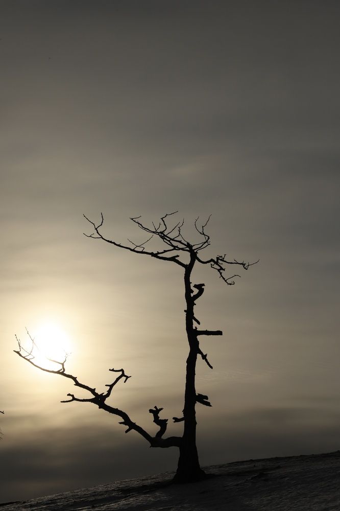 Photograph by Оксана Соколова