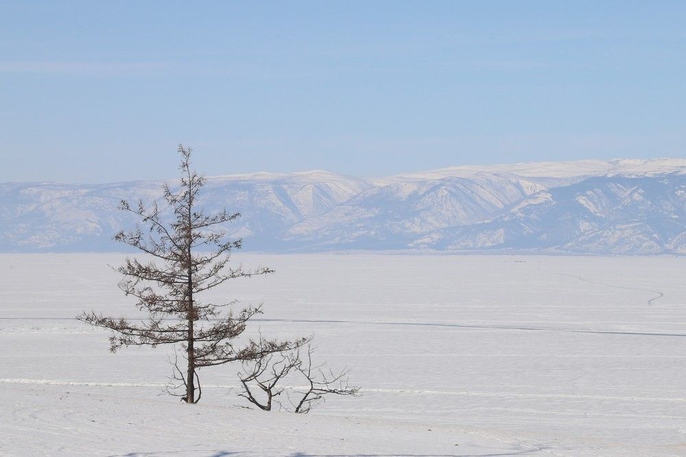 Photograph by Оксана Соколова