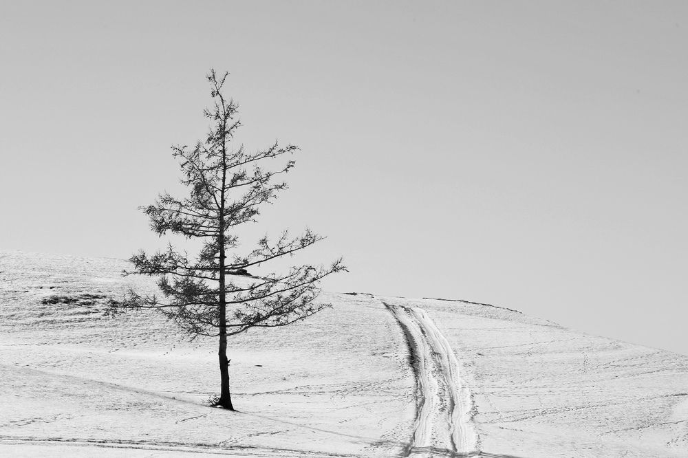 Photograph by Оксана Соколова