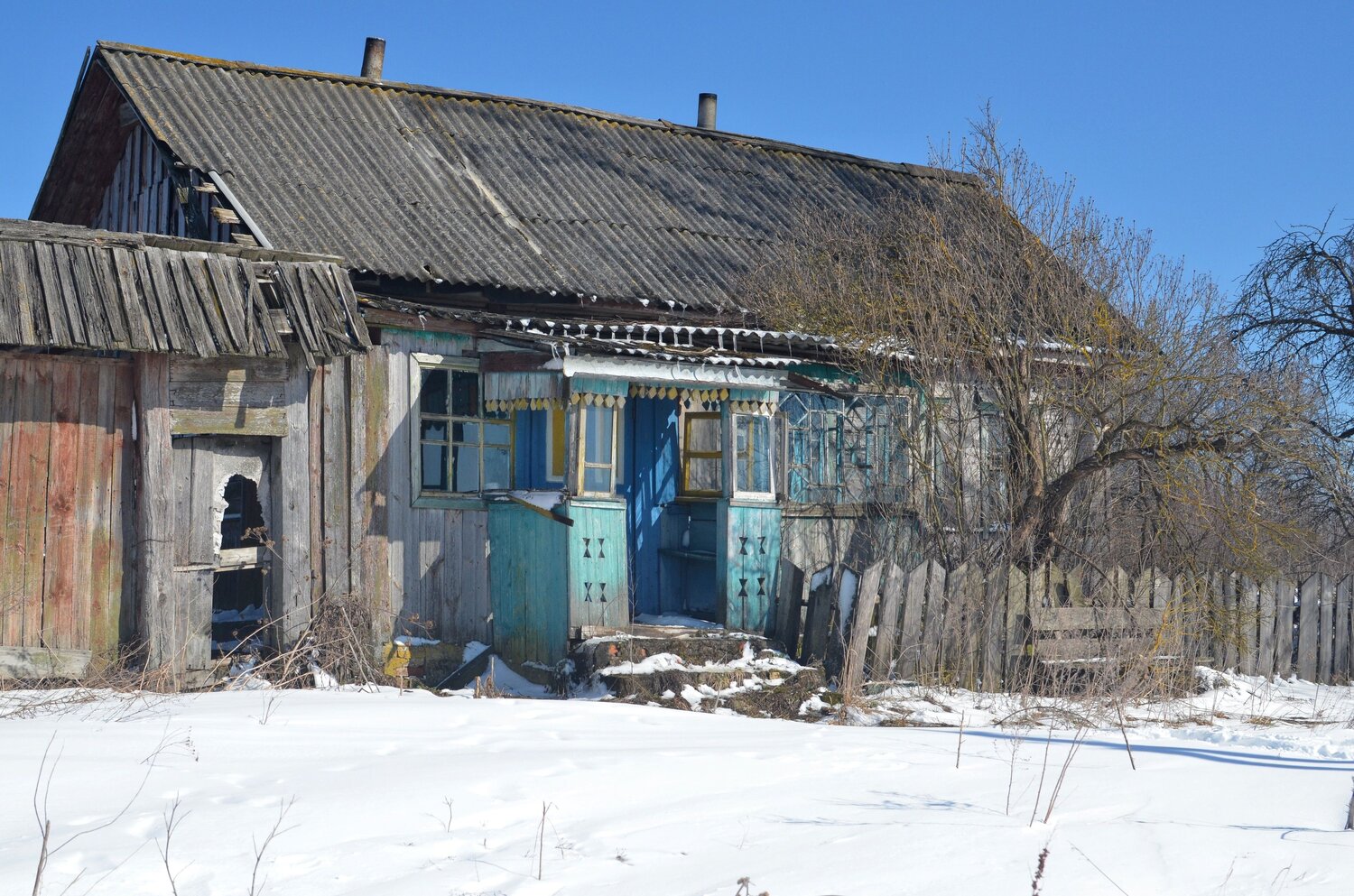 Photo #10753972