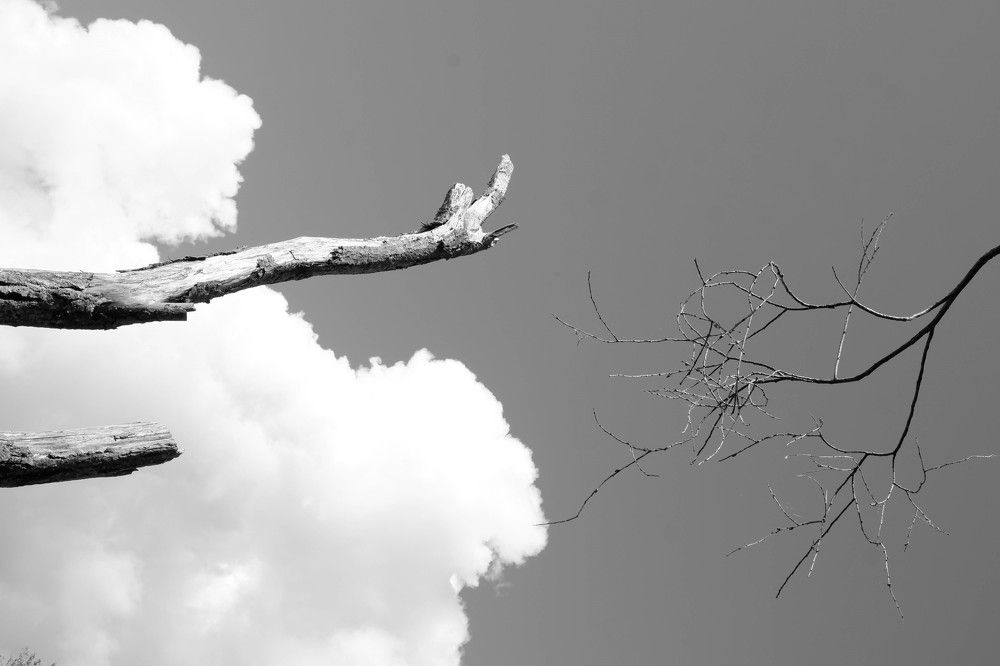 Photograph by Александр Очковский