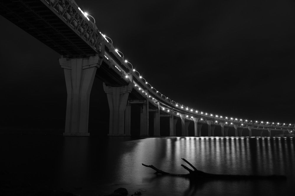 Photo #10754008