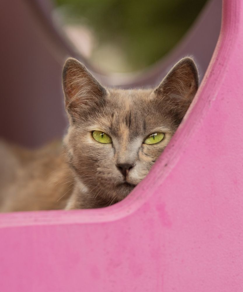 Photograph by Софья Сагитова