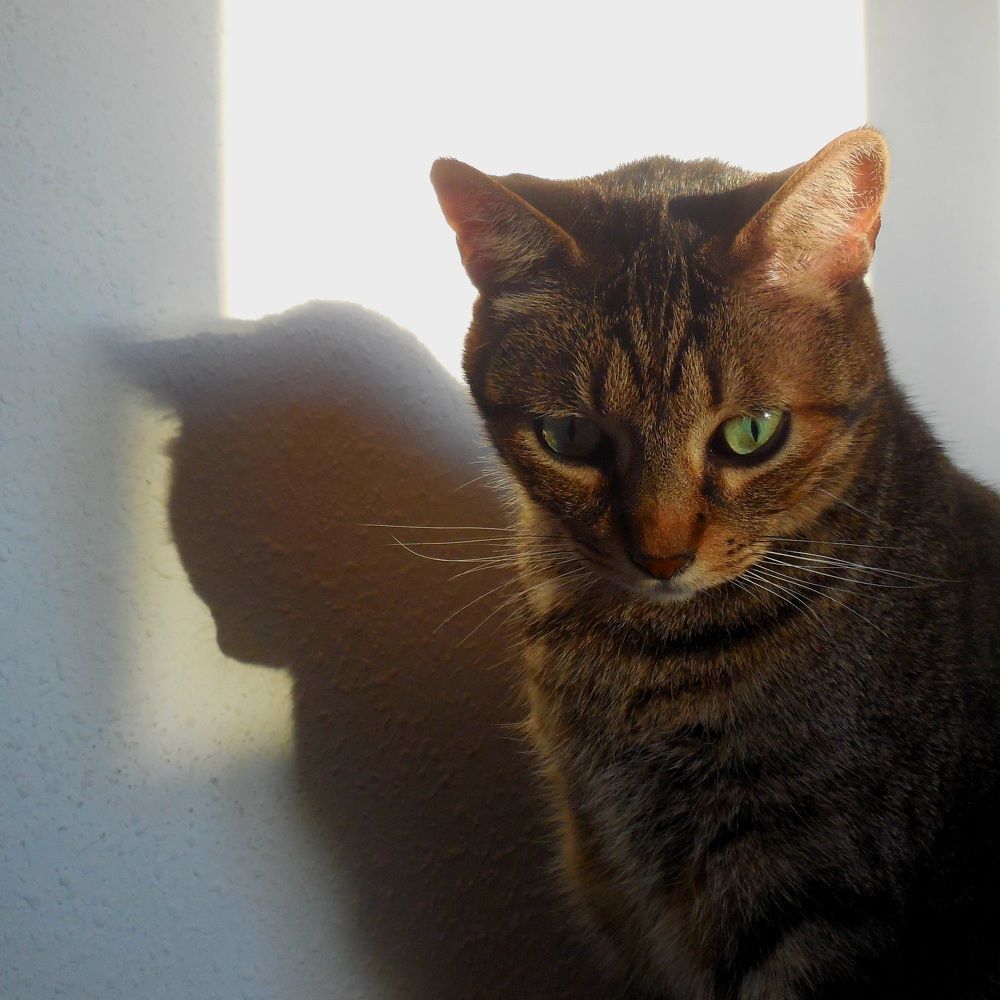 Photograph by Natalya Sedina