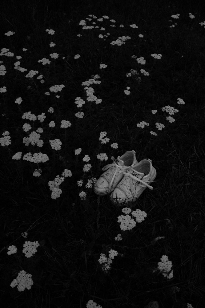 Photograph by Roghayeh Dannandeh