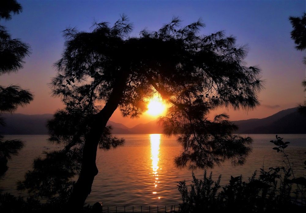 Photograph by Василь Гареев