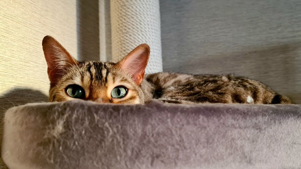 Photograph by Анна Семенова