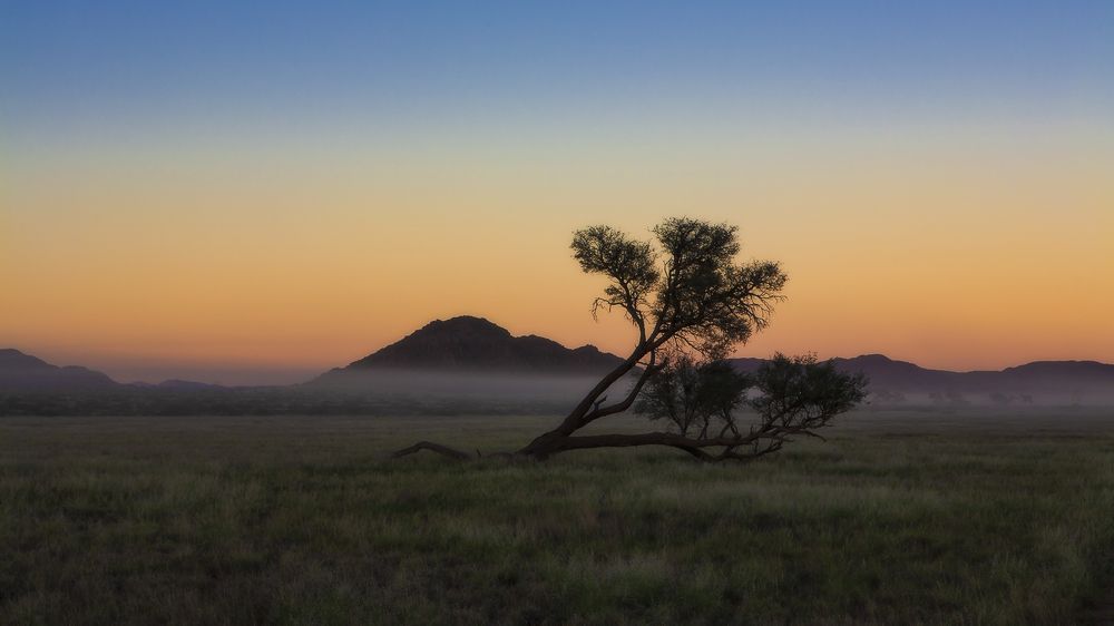 Фотография автора Анатолий