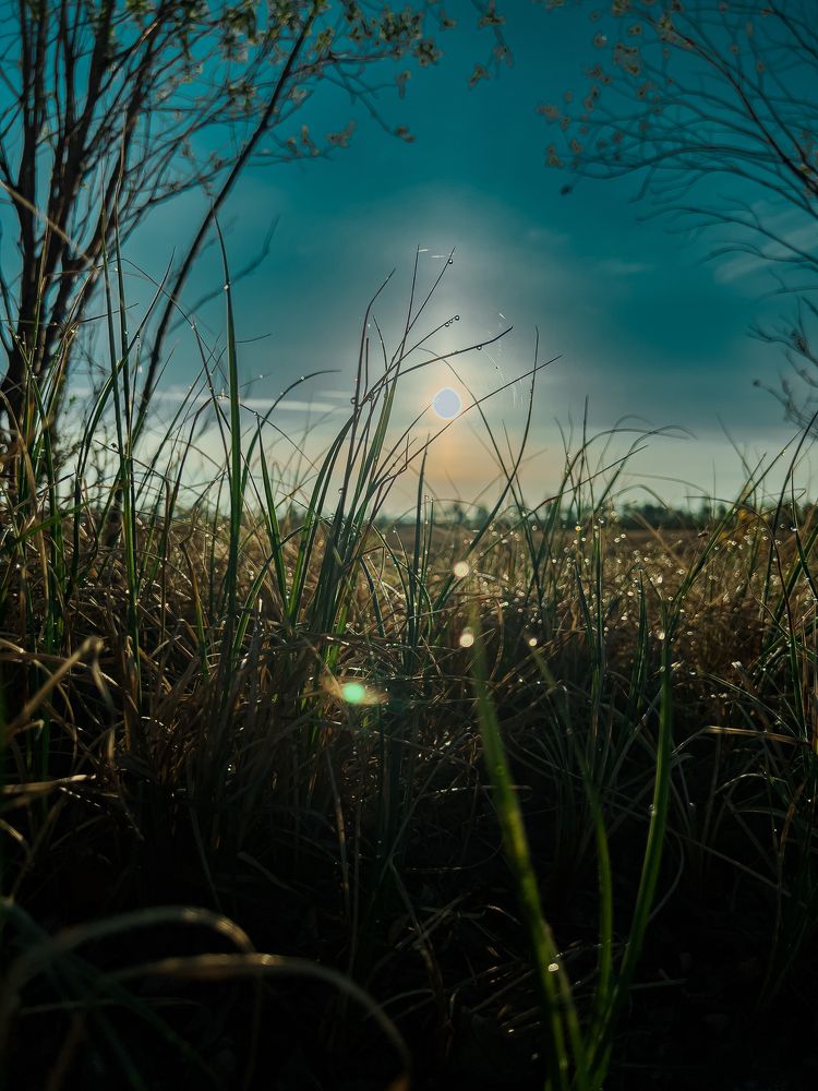 Photograph by Денис Пятница