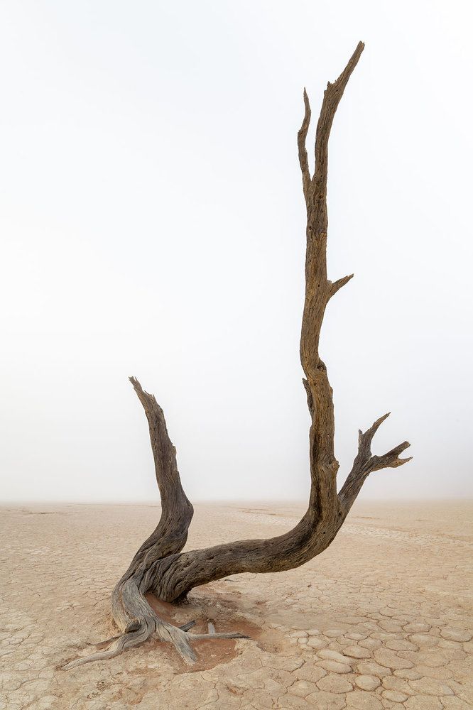 Photograph by Бушков Евгений