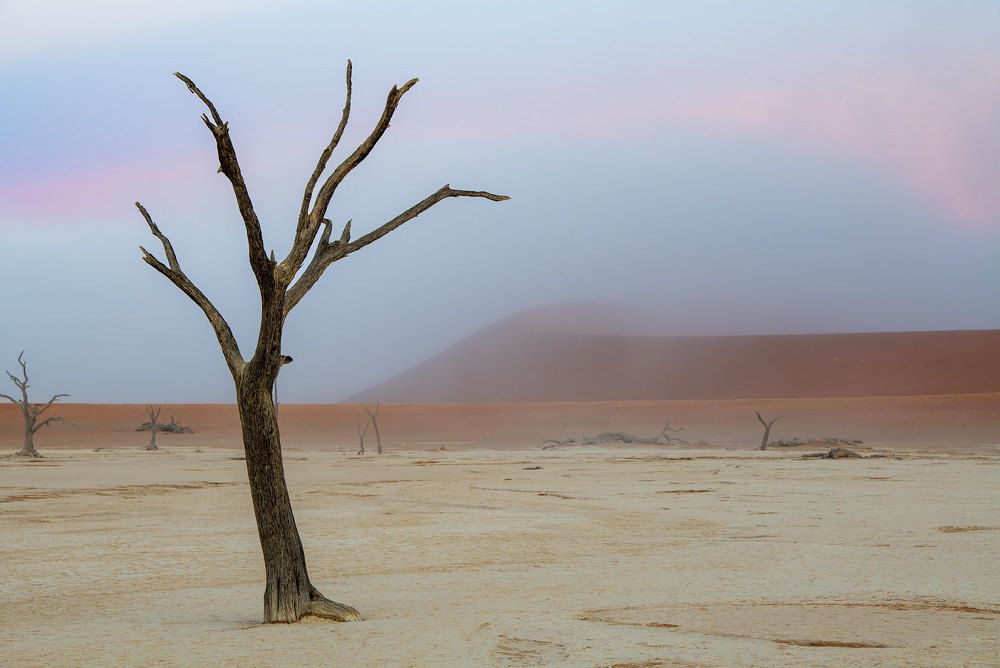 Photograph by Бушков Евгений