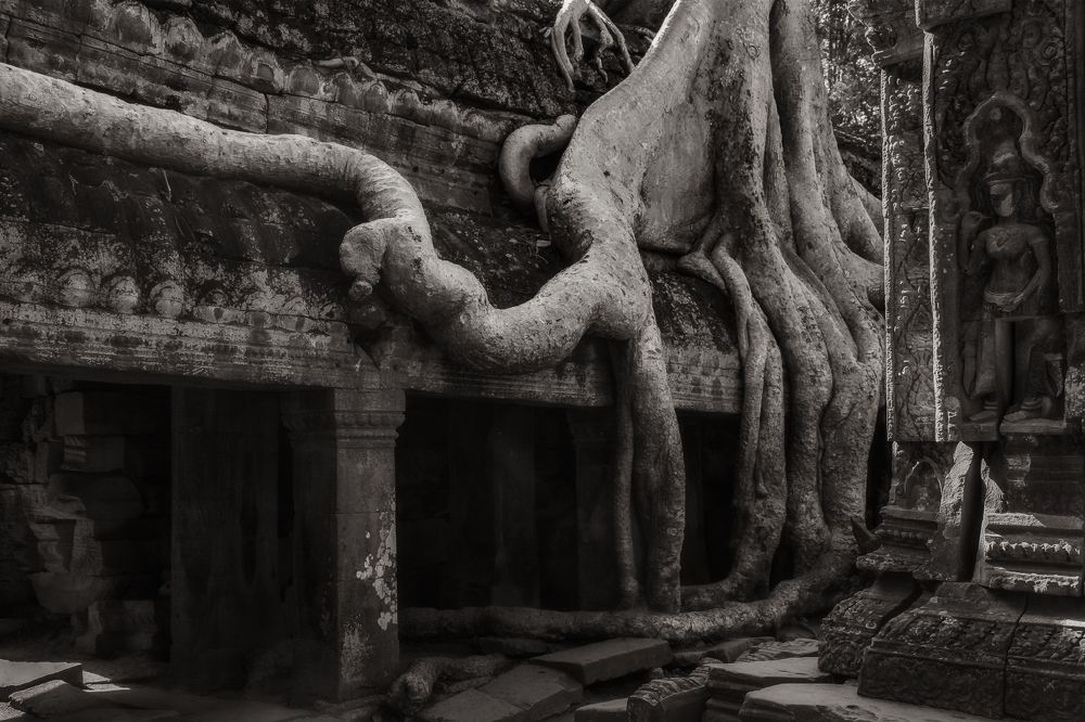 Фотография автора Анатолий