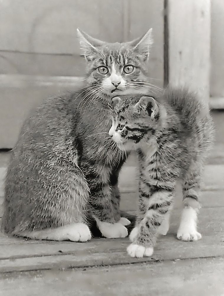 Photograph by Татьяна Слесарева