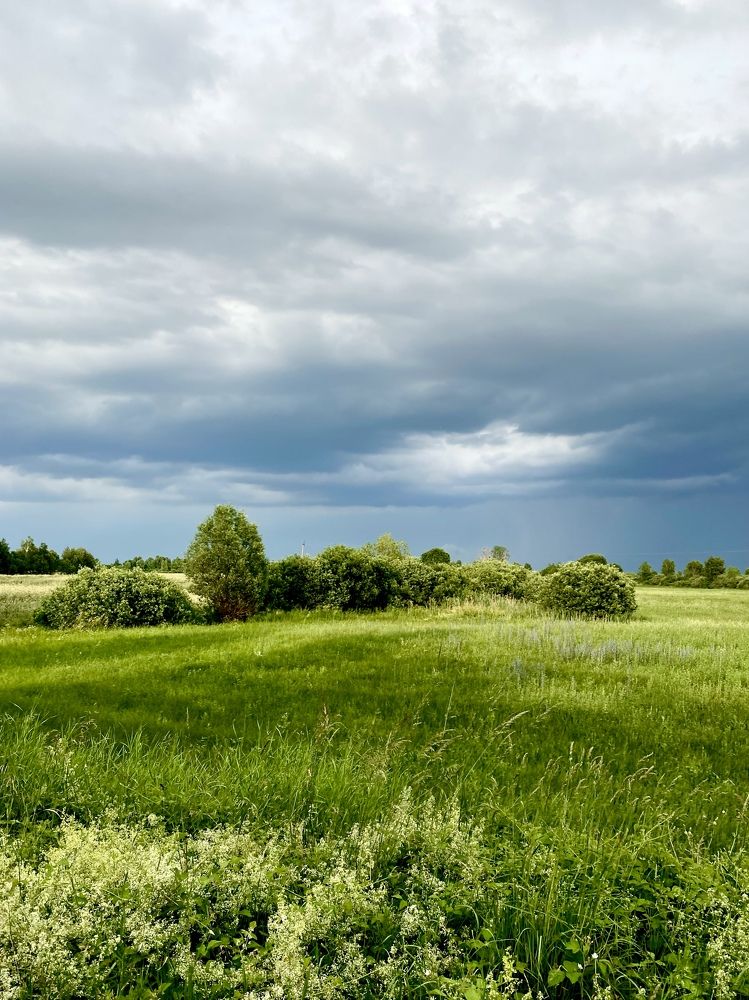 Перед грозой