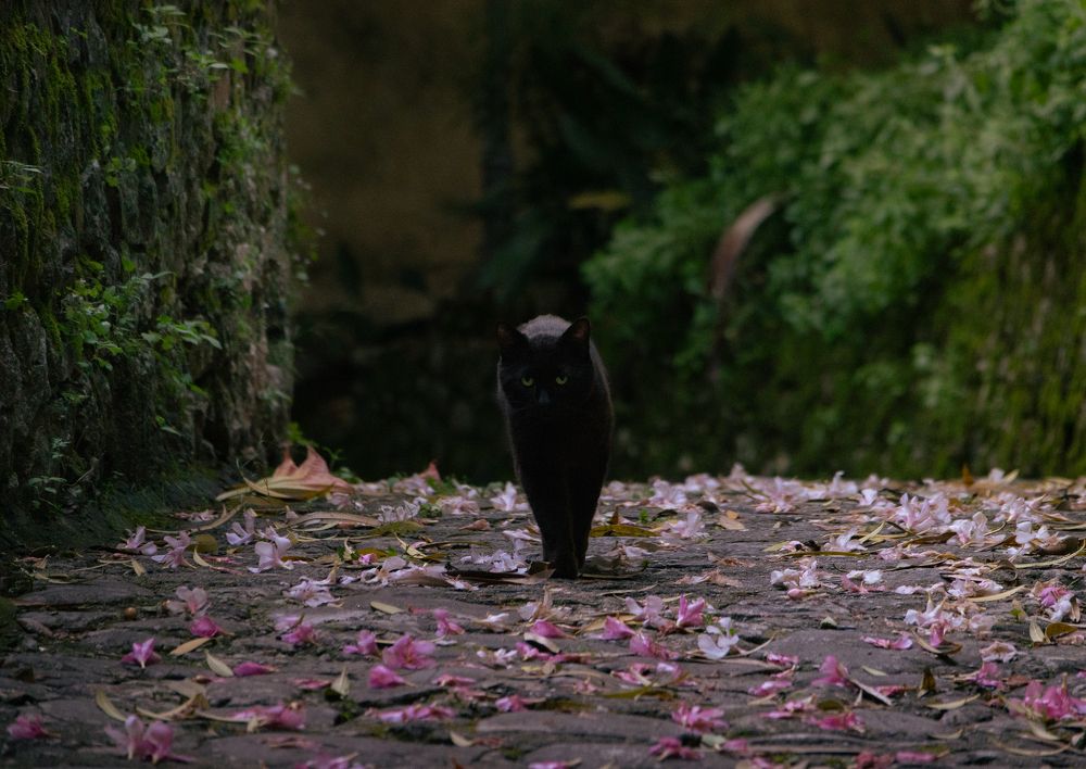 Photograph by Оксана Бочина