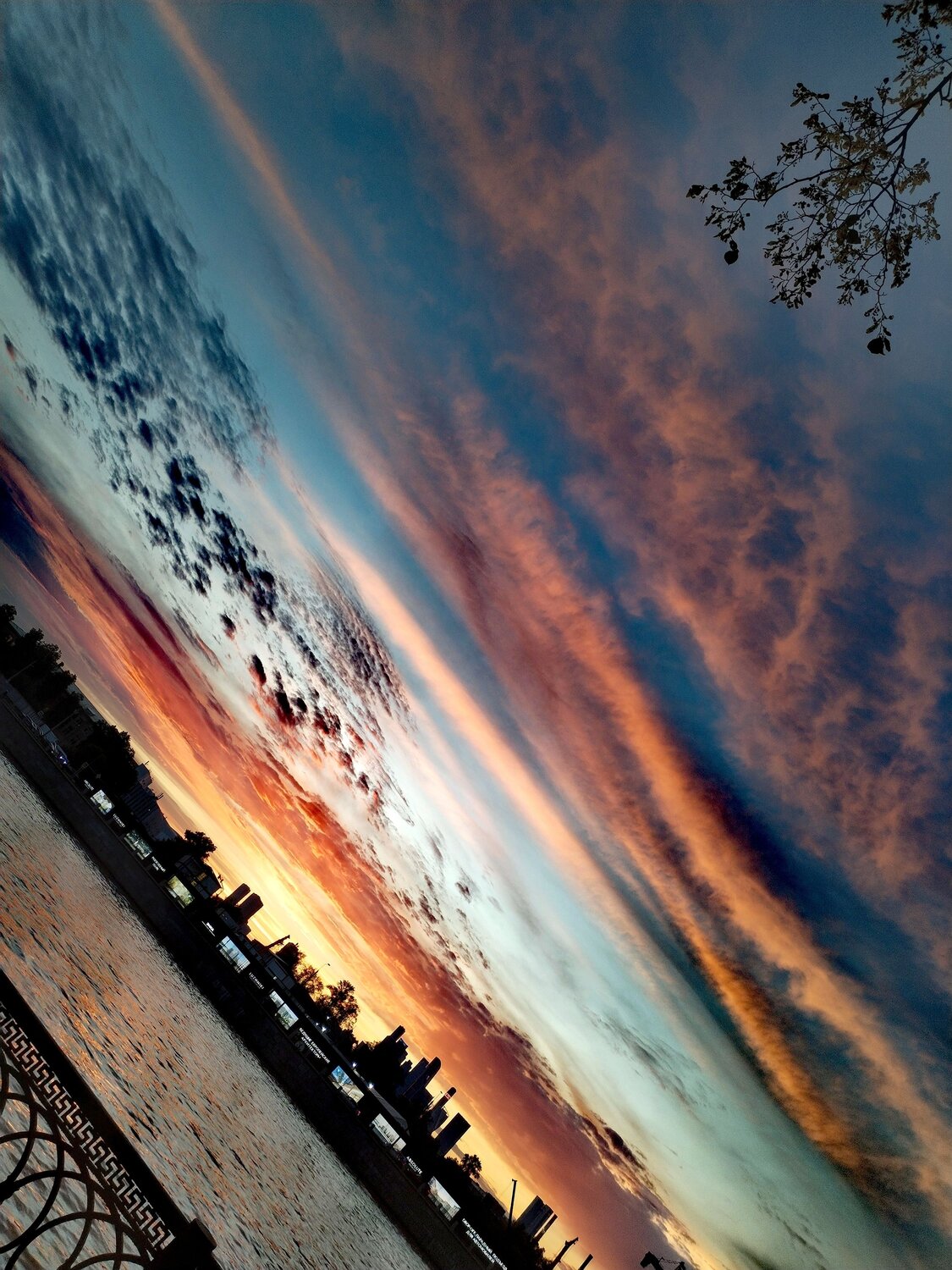 Photo #10754280