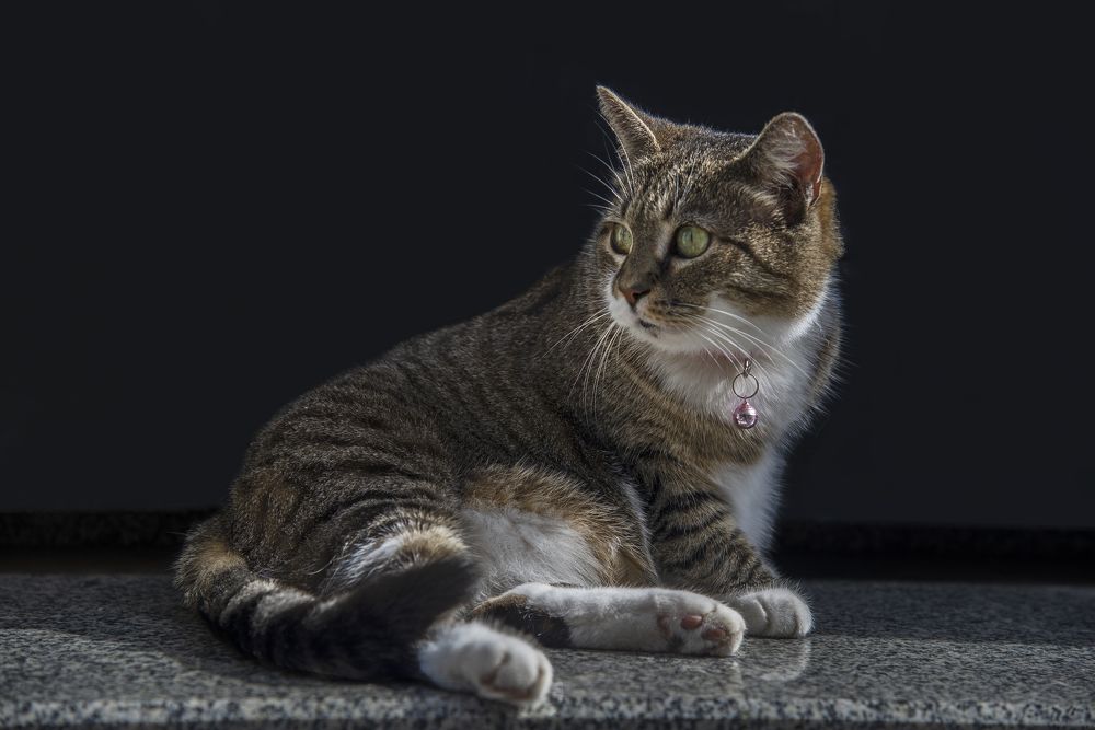 Photograph by Тетельман Давид