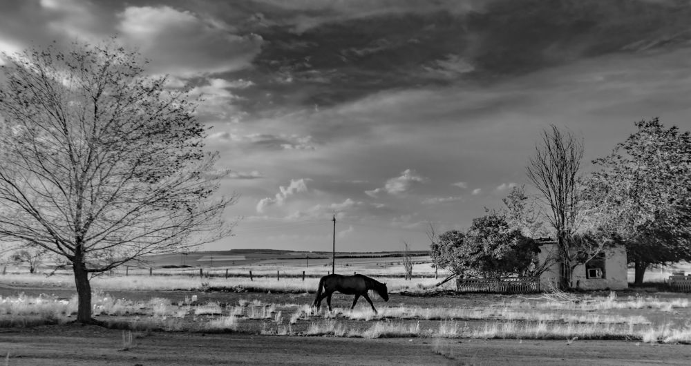 Photograph by Сергей Синягин