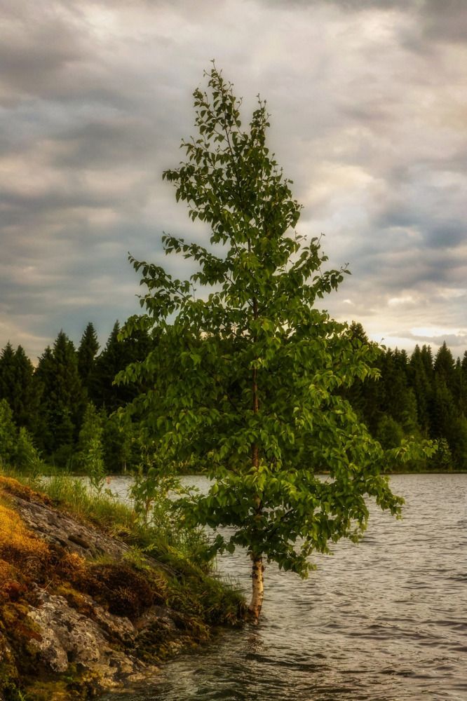 Фотография автора ОЛЬГА БУЛЫЧЕВА