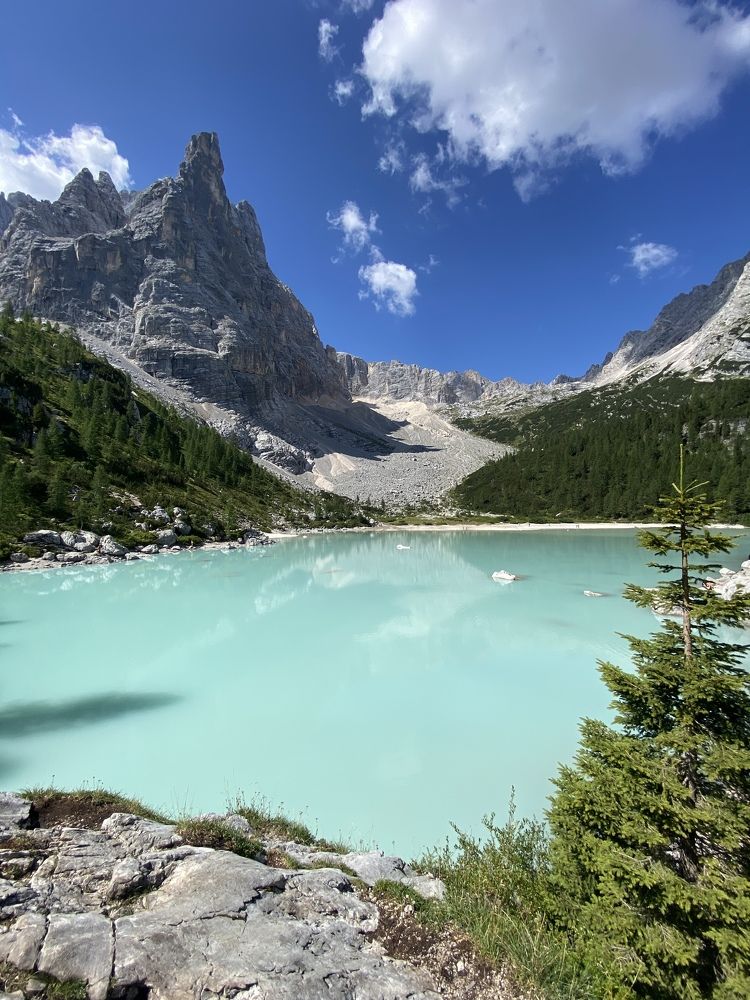 Photograph by Elena Radchenko