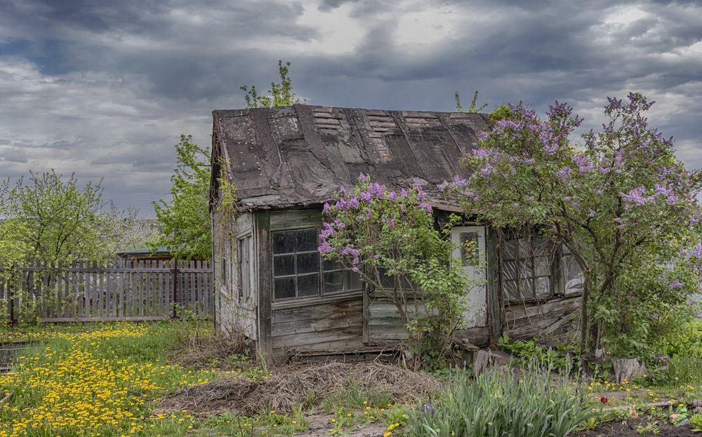 Photograph by Sergey Paramonov