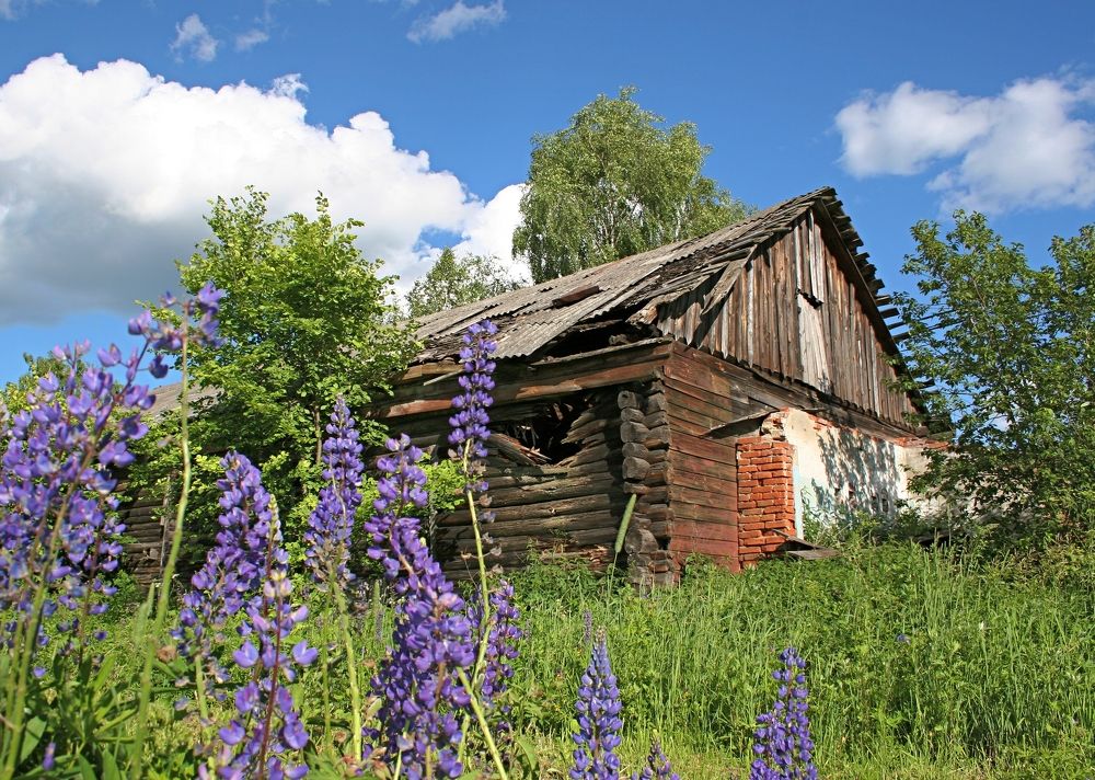 Фотография автора Рожнов Кирилл