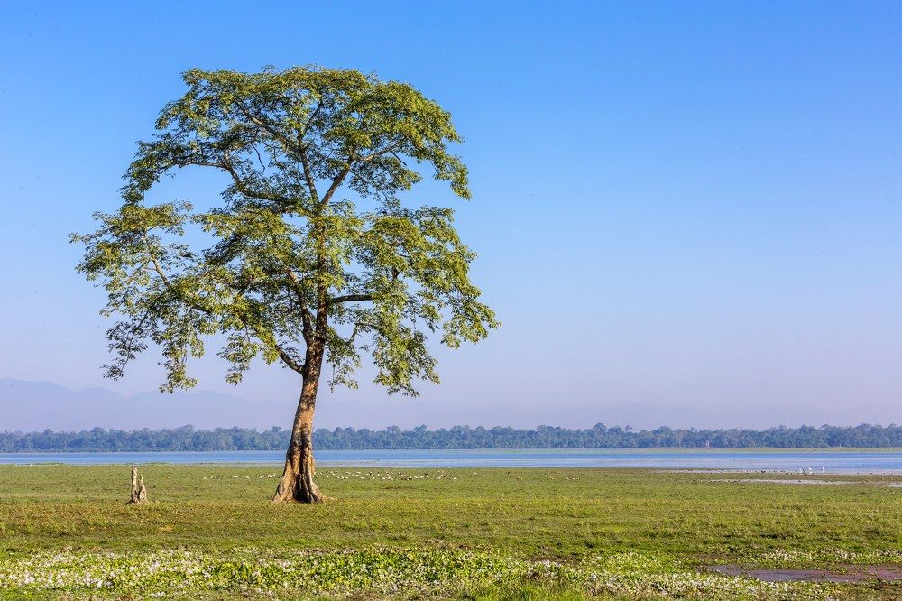 Photograph by Dhananjay Jadhav